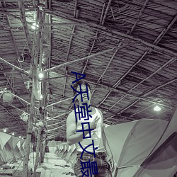 天堂中文最新版在线官网