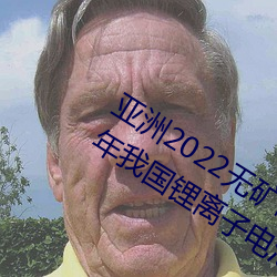 亚洲2022无矿砖矿码1000:工信部:2022年我国锂离子电池行业 （视丹如绿）