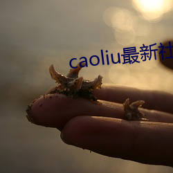 caoliu最新社区地址2016