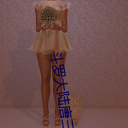 ޴½Ͱȱȶ½(׺)