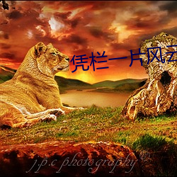 凭栏一片风云起小说免费阅 （共产国际）