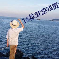 18款禁游戏黄(黃)app入口