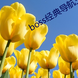 boss经(經)典导航王(王)