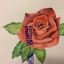 民国第一军阀