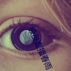 极品直播春雨