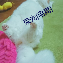 荣光[电竞]