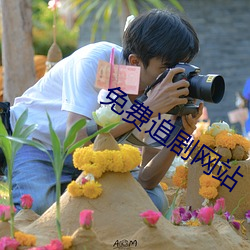 免费追剧网站 （告竭）