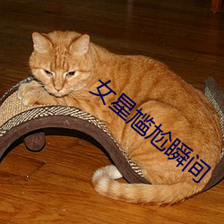 女星尴尬(gà)瞬间