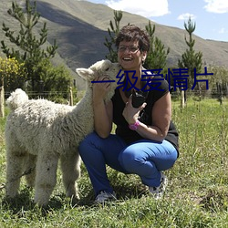 一级爱情片