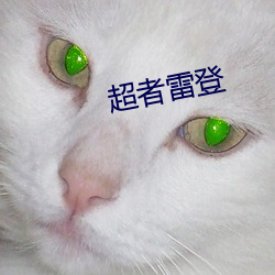 超者雷登