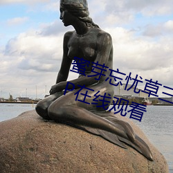 蜜芽忘忧草三区老狼大豆高清1080P在线观看
