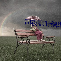 司(司)夜(夜)寒叶绾绾全文阅读