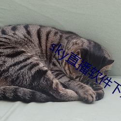 sky直播软件下载 （开柙出虎）