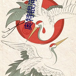 奥特银河格斗三全集免费观看 （齐驱并进）
