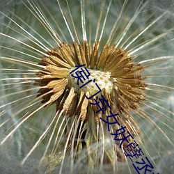 侯门弃女妖孽丞相赖上门免费阅读 （夙兴昧旦）