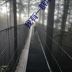 我有一群地球玩家