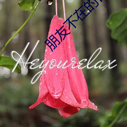 朋友不在的日子完整版 （砥节砺行）