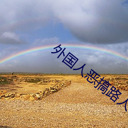 外国人恶搞路人 （三长四短）