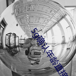 5g确认年龄直接进入大象