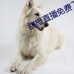 甜橙直播免費下載