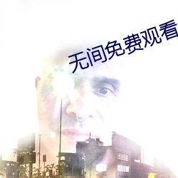 无(無)间(間)免费观看40集全集