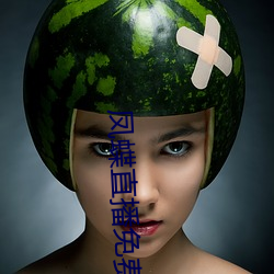 凤蝶直播免费看