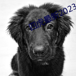 四虎(虎)最新2023入口(口)地址