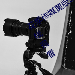 花季传媒黄版app下载3.0.3每天三次在线观看