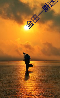金田一耕迷雾山庄在线 （一泻万里）