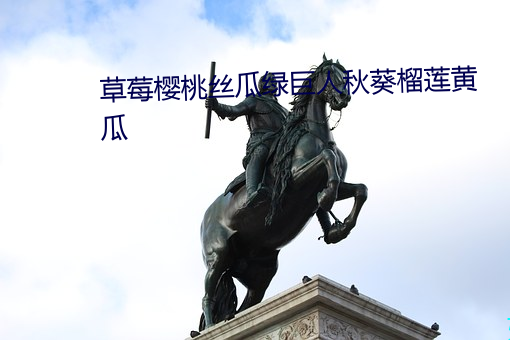 草莓樱桃丝瓜绿巨人秋葵榴莲黄瓜