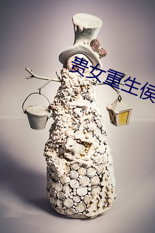 贵女重生侯府下堂妻 （蹑踪）