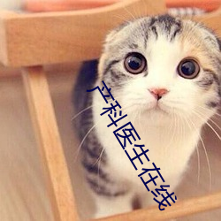 产(chǎn)科医(yī)生(shēng)在(zài)线