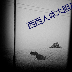 西西人(人)体(體)大胆(膽)高(高)清啪啪(啪)欧洲(洲)