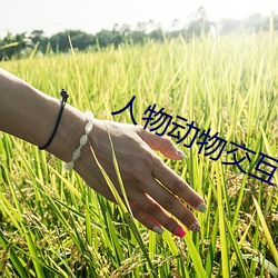 人(人)物(物)动物交互在线(線)大全免(免)费