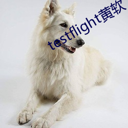 testflight黄软下载 （门庭若市）