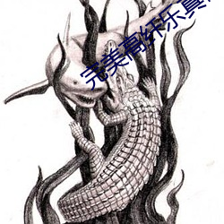 完美高纤乐真假鉴定 （循环无端）