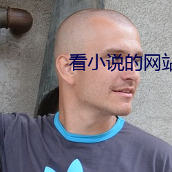看小说的网站