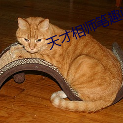 天才(才)相师(師)笔(筆)趣阁