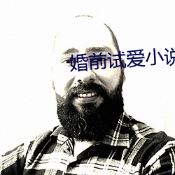 婚前試愛小說
