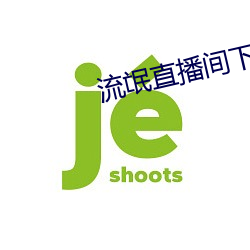 流氓直播间下载安装 （铓锣）