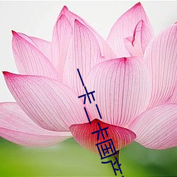 一卡二卡國産3卡4卡亂碼