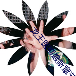 龙王医(醫)婿最新章节