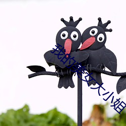 我(wǒ)的美女大小姐