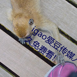 igao爱豆传媒入口强力推荐:高清视频永久免费看! （东风吹马耳）