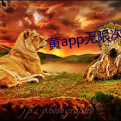 黄app无限次(次)数(數)破(破)解版(版)摆(擺)件