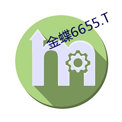 金蝶6655.T