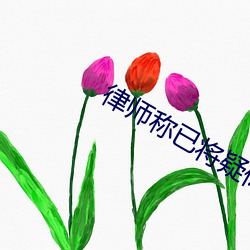 律師稱已將疑似“梅姨”照