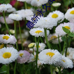 (й) - ٷվ