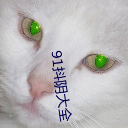 金年会 | 诚信至上金字招牌