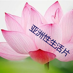 亚洲(洲)性生活(活)片